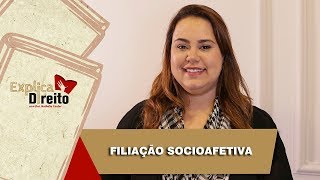 Explica Direito Filiação Socioafetiva  2019 [upl. by Goltz]