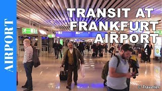 TRANSIT WALK AT FRANKFURT Airport FRA Terminal 1  Connection Flight Transfer Arriving amp Departing [upl. by Ainesey]